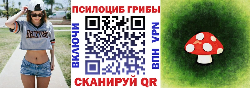Псилоцибиновые грибы Cubensis  Мытищи 