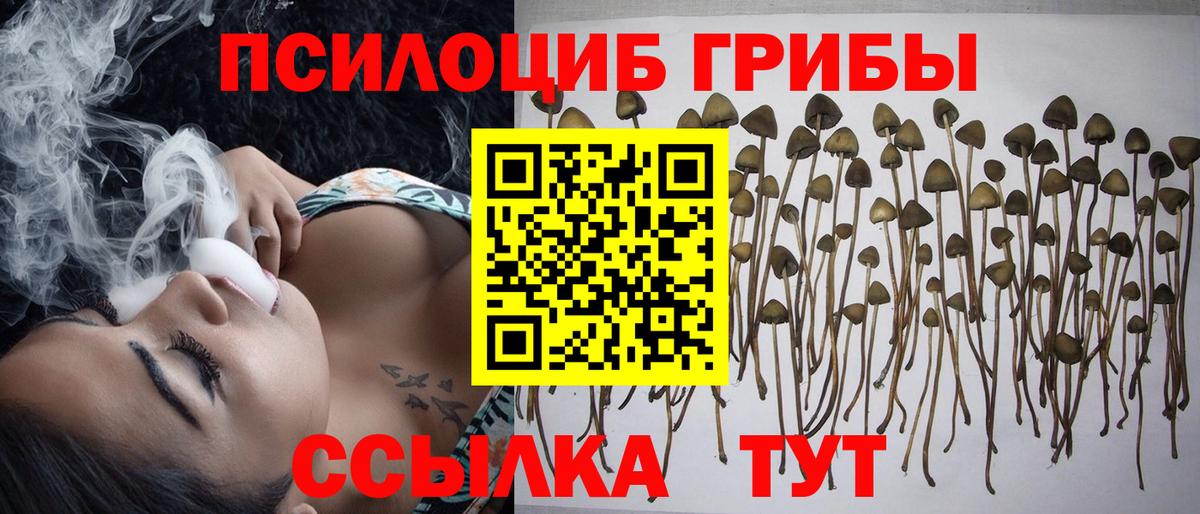 Псилоцибиновые грибы мухоморы Мытищи