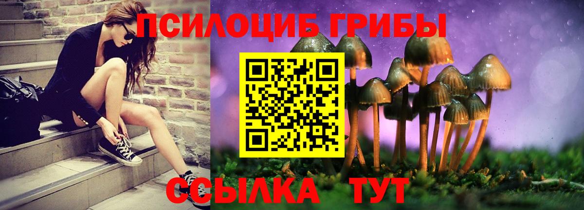 Галлюциногенные грибы прущие грибы Мытищи